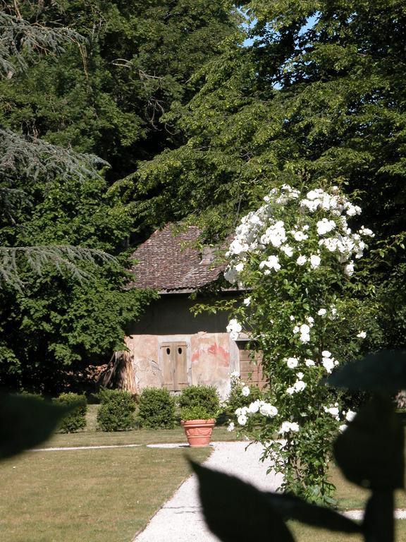 Chateau De Veigy Hotel Esterno foto