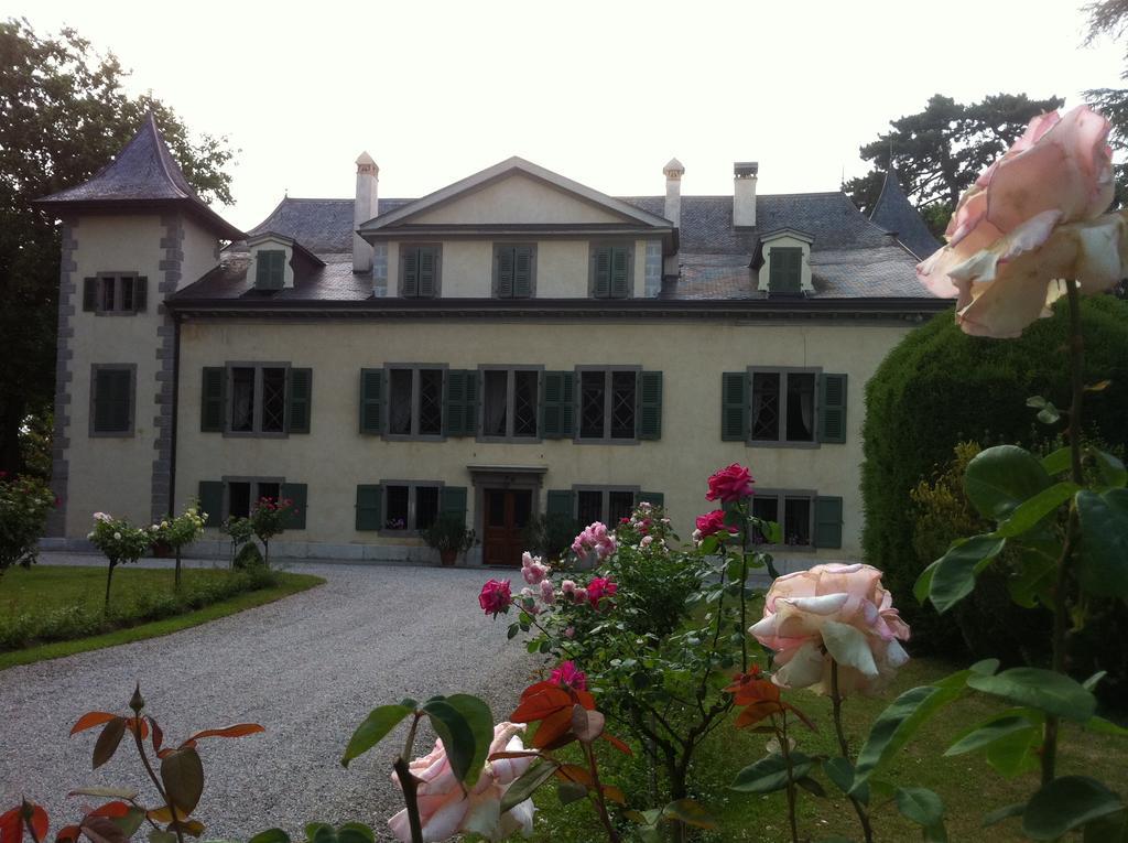 Chateau De Veigy Hotel Esterno foto